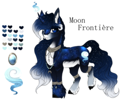 Size: 1107x907 | Tagged: safe, artist:luuny-luna, oc, oc only, oc:moon frontière, pony, unicorn, female, mare, reference sheet, simple background, solo, transparent background