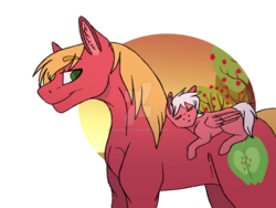 Size: 1600x1200 | Tagged: safe, artist:detoxx-retoxx, big macintosh, oc, oc:flitterbug, earth pony, pegasus, pony, g4, apple tree, blank flank, father and daughter, father's day, female, filly, flitterbug riding big macintosh, male, missing accessory, offspring, parent:big macintosh, parent:fluttershy, parents:fluttermac, ponies riding ponies, riding, simple background, sleeping, stallion, transparent background, tree, watermark