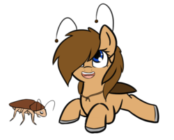Size: 799x645 | Tagged: safe, artist:neuro, oc, oc:general scuttles, oc:roachpony, cockroach, insect, radroach, fallout equestria, colored hooves, female, filly, roach, simple background, transparent background