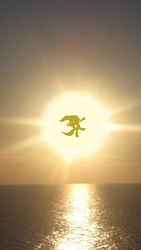 Size: 423x750 | Tagged: artist needed, safe, fluttershy, g4, against sun, flying, horizon, irl, ocean, photo, sun, sunrise