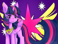 Size: 1600x1200 | Tagged: safe, artist:zefirka, twilight sparkle, alicorn, pony, g4, female, jewelry, mare, necklace, smiling, solo, twilight sparkle (alicorn)