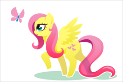 Size: 1134x756 | Tagged: safe, alternate version, artist:alpaca-pharaoh, fluttershy, butterfly, pegasus, pony, g4, female, mare, simple background, solo, white background