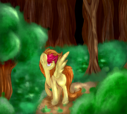 Size: 1000x900 | Tagged: safe, artist:solsitodb, oc, oc only, oc:solsitodb, pegasus, pony, female, forest, mare, piercing, signature, solo, tree