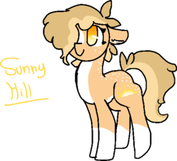 Size: 498x452 | Tagged: safe, artist:nootaz, oc, oc only, oc:sunny hill, pony, body freckles, coat markings, cute, freckles, ocbetes, simple background, socks (coat markings), solo, transparent background