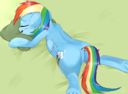 Size: 2638x1940 | Tagged: safe, artist:yunyeyoung, rainbow dash, pegasus, pony, g4, beach, butt, dock, drool, featureless crotch, female, floppy ears, plot, sleeping, solo