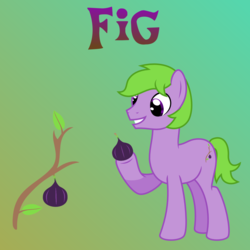 Size: 1080x1080 | Tagged: safe, artist:tacobender, oc, oc only, pony, commission, commission info, cutie mark, fruit, green hair, holding, male, name, purple eyes, simple background, stallion, theme, vector