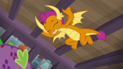 Size: 480x270 | Tagged: safe, screencap, smolder, spike, dragon, g4, molt down, amused, animated, ceiling, cute, dragoness, duo, feet, female, hanging, male, raised eyebrow, smolderbetes, stone scales, swinging, talking, underfoot