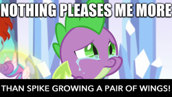 Size: 1280x720 | Tagged: safe, edit, edited screencap, screencap, princess flurry heart, spike, g4, molt down, caption, crying, fixed, image macro, meme, spike justice warriors, spikelove