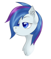 Size: 980x1122 | Tagged: safe, artist:thetruezulius, oc, oc only, oc:cloud burn, pony, bust, female, mare, portrait, simple background, solo, transparent background