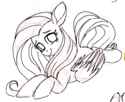 Size: 311x252 | Tagged: safe, artist:yoditax, fluttershy, pegasus, pony, g4, female, looking at you, mare, monochrome, sketch, solo