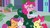 Size: 1920x1080 | Tagged: safe, screencap, apple bloom, pinkie pie, scootaloo, sweetie belle, g4, marks for effort, my little pony: friendship is magic, cutie mark crusaders, discovery family logo