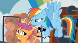 Size: 1655x923 | Tagged: safe, screencap, rainbow dash, scootaloo, pegasus, pony, g4, marks for effort, basketball, duo, duo female, duo focus, female, groucho mask, gym, sports