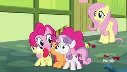 Size: 1920x1080 | Tagged: safe, screencap, apple bloom, fluttershy, pinkie pie, scootaloo, sweetie belle, g4, marks for effort, cutie mark crusaders, discovery family logo