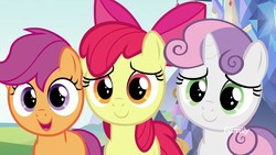 Size: 1920x1080 | Tagged: safe, screencap, apple bloom, scootaloo, sweetie belle, g4, marks for effort, cutie mark crusaders, discovery family logo