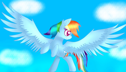 Size: 7500x4300 | Tagged: safe, artist:sweethearts11, rainbow dash, pegasus, pony, g4, absurd resolution, cloud, female, flying, heart eyes, mare, signature, simple background, sky, solo, wingding eyes