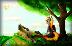 Size: 3701x2362 | Tagged: safe, artist:storm-brush, oc, oc only, oc:storm brush, pony, cliff, high res, river, solo, tree