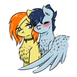Size: 2830x2830 | Tagged: safe, artist:vinviasshine, soarin', spitfire, g4, female, high res, hug, male, ship:soarinfire, shipping, simple background, straight, transparent background, winghug