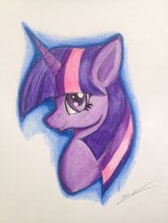 Size: 1024x1365 | Tagged: safe, artist:luxiwind, twilight sparkle, pony, g4, bust, female, portrait, solo, traditional art