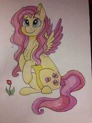 Size: 774x1032 | Tagged: safe, artist:clarissa0210, fluttershy, pony, g4, female, solo, traditional art