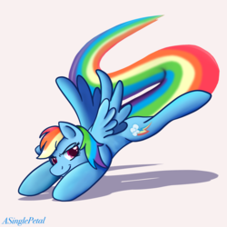 Size: 2048x2048 | Tagged: safe, artist:asinglepetal, rainbow dash, pony, g4, charm, female, high res, rainbow trail, simple background, solo