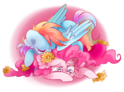 Size: 1203x895 | Tagged: safe, artist:pinkablue, pinkie pie, rainbow dash, earth pony, pegasus, pony, g4, ear fluff, eyes closed, female, flower, flower in hair, lesbian, mare, ship:pinkiedash, shipping, simple background, transparent background