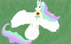 Size: 1920x1200 | Tagged: safe, artist:uruboros, princess celestia, alicorn, pony, g4, female, flower, on back, solo