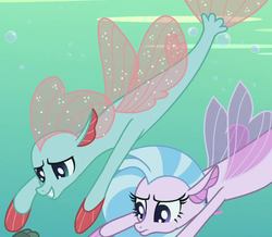 Size: 751x654 | Tagged: safe, screencap, ocellus, silverstream, seapony (g4), g4, non-compete clause, cropped, disguise, disguised changeling, duo, seaponified, seapony ocellus, seapony silverstream, species swap, swimming, underwater