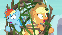 Size: 1920x1080 | Tagged: safe, screencap, applejack, rainbow dash, earth pony, pegasus, pony, g4, non-compete clause, branches, duo, female, gritted teeth, mare, tied up, trapped, vine
