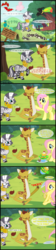 Size: 1047x4689 | Tagged: safe, artist:bronybyexception, clementine, fluttershy, zecora, bird, flying pig, fruit bat, giraffe, keel-billed toucan, parrot, pegasus, pig, pony, raccoon, seagull, toucan, zebra, fluttershy leans in, g4, cloven hooves, coconut, comic, ear piercing, earring, female, food, jewelry, leg rings, mare, neck rings, piercing, pretending to be an animal, prone, salad, sweet feather sanctuary, talking giraffe