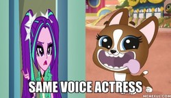 Size: 600x345 | Tagged: safe, aria blaze, dog, equestria girls, g4, my little pony equestria girls: rainbow rocks, diana kaarina, exploitable meme, littlest pet shop, littlest pet shop a world of our own, meme, memeful.com, roxie mcterrier, same voice actor, wrong aspect ratio