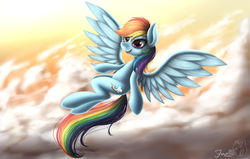 Size: 1024x652 | Tagged: safe, artist:hoodiefoxy, rainbow dash, pegasus, pony, g4, cloud, cutie mark, female, solo