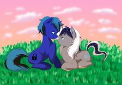 Size: 4168x2894 | Tagged: safe, artist:wernex, oc, oc only, pony, unicorn, commission, cute, duo, female, looking at each other, looking at someone, male, ych result