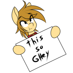 Size: 1000x1000 | Tagged: safe, artist:silverfox057, oc, oc only, oc:silverblaze, pony, collar, exploitable, exploitable meme, ghey, meme, reaction image, sign, simple background, solo, transparent background