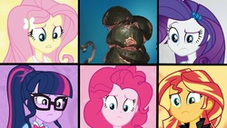 Size: 1280x720 | Tagged: safe, edit, edited screencap, screencap, fluttershy, pinkie pie, rarity, sci-twi, sunset shimmer, twilight sparkle, equestria girls, g4, get the show on the road, my little pony equestria girls: summertime shorts, blorg, geode of fauna, one of these things is not like the others, stellaris