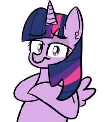 Size: 1182x1350 | Tagged: safe, artist:artiks, twilight sparkle, alicorn, pony, g4, female, mare, simple background, smug, solo, transparent background, twilight sparkle (alicorn)