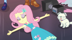 Size: 1280x720 | Tagged: safe, screencap, applejack, fluttershy, sci-twi, twilight sparkle, dog, equestria girls, g4, my little pony equestria girls: better together, outtakes (episode), camera, eyes closed, eyeshadow, female, fluttershy boho dress, lying, makeup, pup-pup