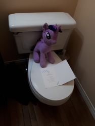 Size: 4608x3456 | Tagged: safe, twilight sparkle, pony, g4, but why, irl, photo, plushie, reading, solo, toilet