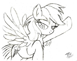 Size: 2015x1607 | Tagged: safe, artist:radiancebreaker, rainbow dash, pegasus, pony, g4, female, flying, mare, monochrome, signature, simple background, sketch, solo, traditional art, white background