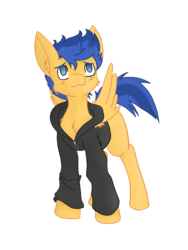 Size: 960x1280 | Tagged: safe, artist:asktheinfiltrators, artist:steelsoul, flash sentry, pegasus, pony, g4, clothes, equestria girls ponified, fanfic art, hoodie, jacket, male, ponified, simple background, solo, stallion, transparent background