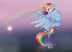 Size: 2000x1456 | Tagged: safe, artist:ottcat23, rainbow dash, pony, g4, digital art, female, flying, lens flare, painting, rainbow trail, solo, stars, wings