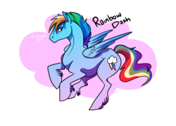 Size: 3500x2500 | Tagged: safe, artist:axis-intercept, rainbow dash, horse, pony, g4, feathered fetlocks, female, high res, simple background, solo, transparent background