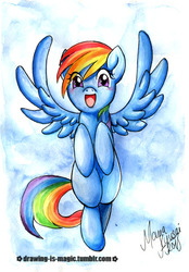 Size: 400x574 | Tagged: safe, artist:mana-kyusai, rainbow dash, pegasus, pony, g4, :d, female, happy, open mouth, open smile, signature, smiling, solo, spread wings, traditional art, watercolor painting, wings