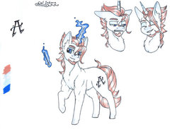 Size: 600x440 | Tagged: safe, artist:tillie-tmb, oc, oc only, oc:cal inkhorn, pony, unicorn, beard, facial hair, magic, male, reference sheet, simple background, solo, stallion, traditional art, white background