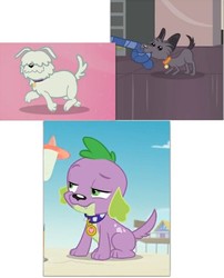 Size: 658x813 | Tagged: safe, spike, spike the regular dog, dog, equestria girls, equestria girls specials, g4, my little pony equestria girls: better together, my little pony equestria girls: forgotten friendship, outtakes (episode), comparison, male, paws, pup-pup, spike's dog collar