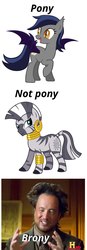 Size: 750x2160 | Tagged: safe, zecora, oc, oc:echo, bat pony, human, pony, zebra, g4, ancient aliens, giorgio a. tsoukalos, image macro, irl, irl human, meme, photo, racism