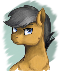 Size: 558x654 | Tagged: safe, artist:ottcat23, quibble pants, pony, g4, abstract background, looking at you, male, solo, stallion