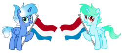 Size: 5400x2368 | Tagged: dead source, safe, artist:rainbows-skies, oc, oc only, oc:blue galaxy, oc:water star, alicorn, pony, flag, male, netherlands, simple background, stallion, transparent background