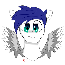 Size: 4000x4000 | Tagged: safe, artist:velvet rose, oc, oc only, oc:snowspear, pegasus, pony, looking at you, male, simple background, solo, stallion, wings
