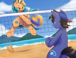 Size: 1050x800 | Tagged: safe, artist:tikrs007, oc, oc only, oc:break spin, oc:playa "spikeball" azul, earth pony, pony, beach, bipedal, cloud, commission, female, male, mare, ocean, sky, sports, stallion, this will end in pain, volleyball, volleyball net, worried