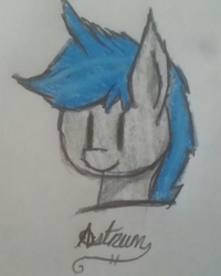 Size: 2000x2501 | Tagged: safe, artist:antique1899, oc, oc only, oc:astrum, pony, bust, high res, solo, traditional art